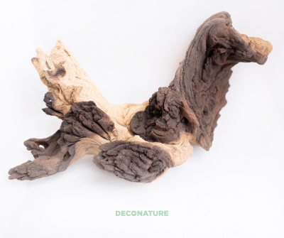 DECO NATURE WOOD MOPANE M - Натуральная коряга африканского дерева мопани от 15 до 19 см